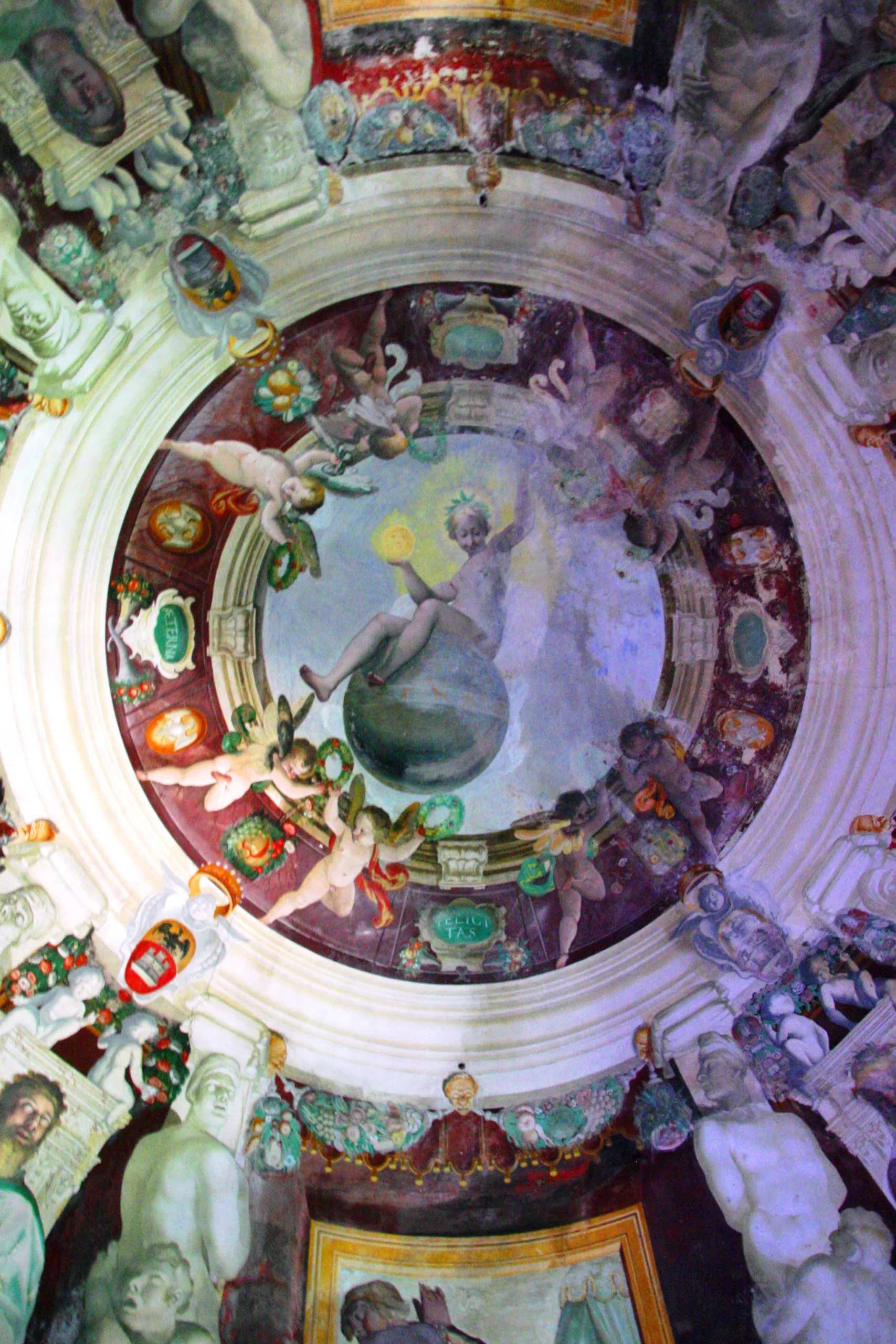 Immagine 6
